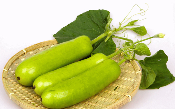 昆明绿色蔬菜配送让您的食堂天天换新品